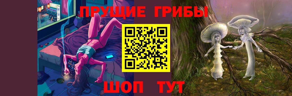 Галлюциногенные грибы Psilocybe  Вход с VPN  Шадринск 